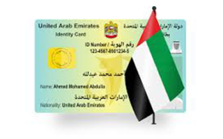 how to download emirates id online