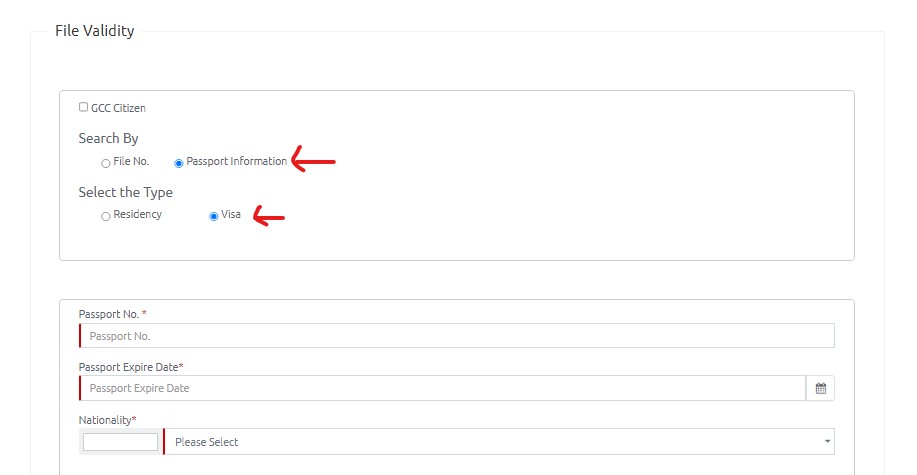 dubai visit visa status check steps and links