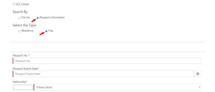 icp website link and check visa status