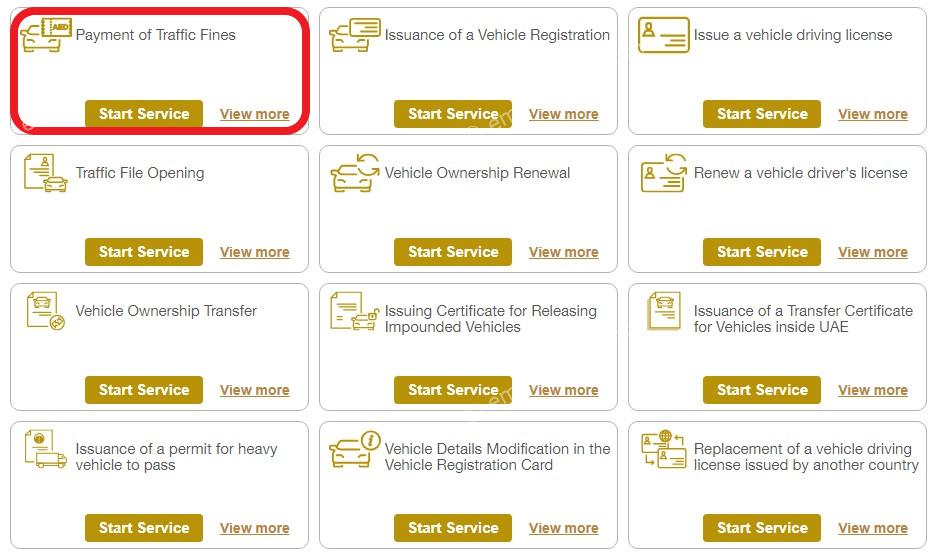 Guide to check abu dhabi plate number