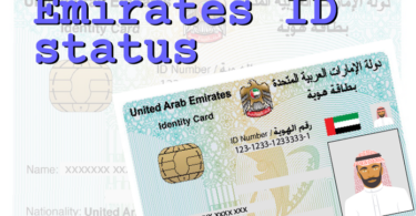 how to check emirates id status online or by SMS and phone