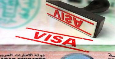 how to check visa status using passport number uae