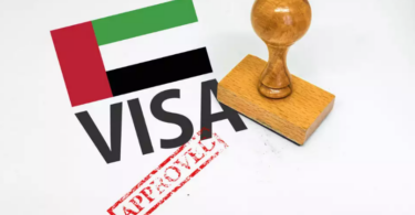 uae free visa.info: Everything you need to know