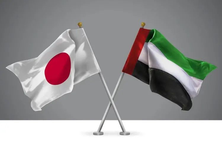 japan e visa for uae residents apply step by step