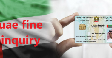 uae fine inquiry in 2 minutes online and offline