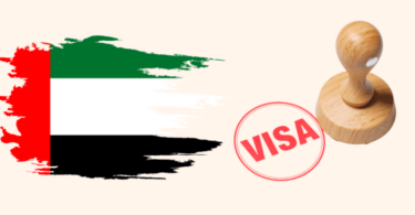 how to check visa status dubai online