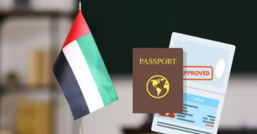 how to check my visa status in uae online