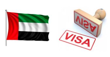 uae icp visa status check and pay fine