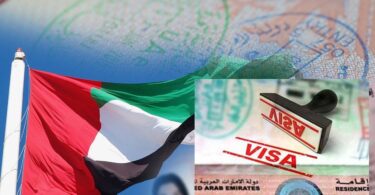 uae visa status check online easy ways