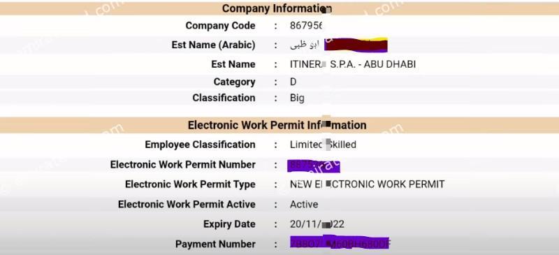 Easy Process for get electronic work permit information online