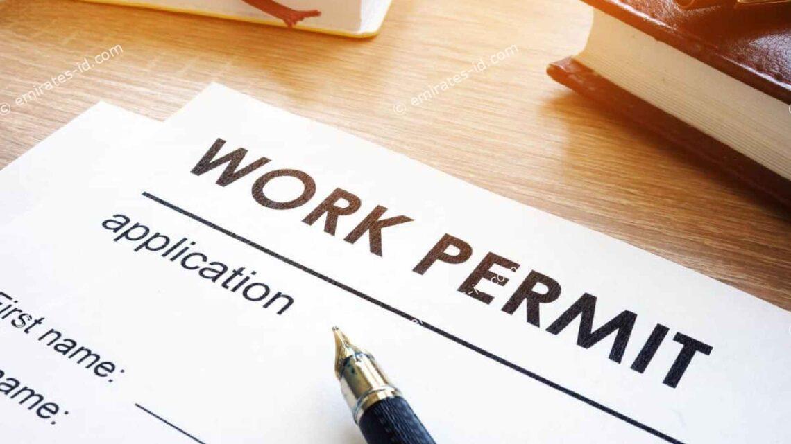 Easy Process for get electronic work permit information online