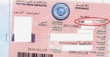 A guide to checking uid number dubai online